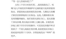 儿童节优美段落：快乐的六一段落_900字