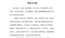 想念小白兔_250字