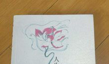 那美丽而哀愁的世界 ———《人生若只如初见》读后感_800字