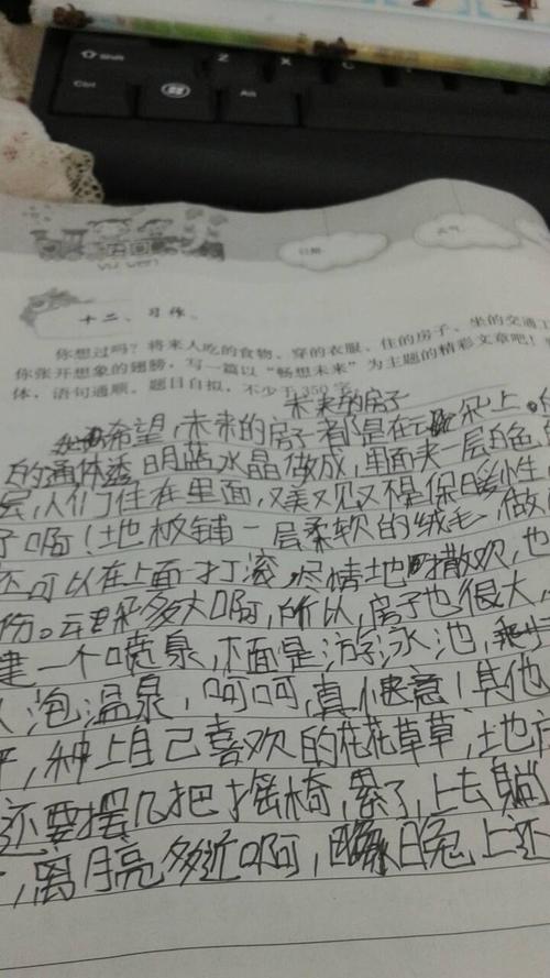 未来之屋_200字