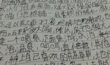 未来的房子_200字