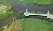 美丽的龙凤湿地公园_550字