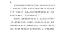 初一想象作文：二十年后的家乡_700字