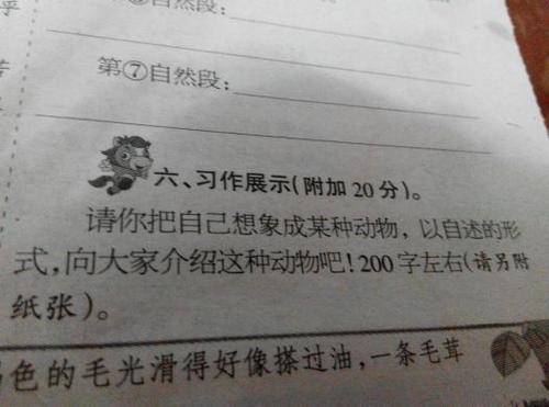我想成为一只小鸟_300字