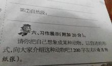 我想变成一只小鸟_300字