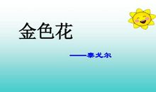 初一抒情散文：春天的故事_900字