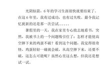 [PK赛]关于幸福的作文：一次成功的尝试_550字