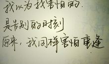 生命珍贵名言精选集锦_450字