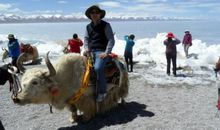 走过，匆匆_450字