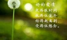 关于生命感悟的名言_3000字