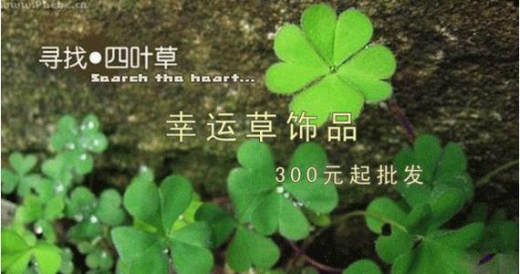 四叶草_600字