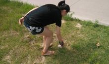 我的社会实践见闻_800字