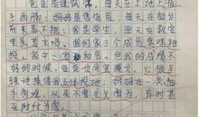 2012台州中考满分作文：我会记得_1000字
