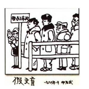 假文盲_350字
