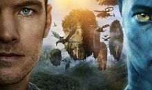 《阿凡达》观后感_650字