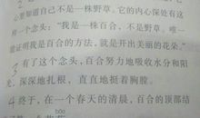 [PK赛]关于发现的作文：春天de颜色_100字