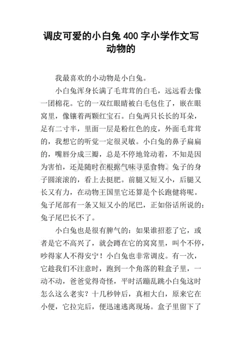 我最喜欢的小白兔子_400字