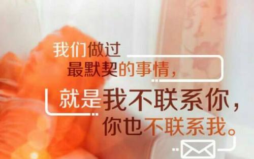 我的校园_1000字