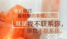 我的校园_1000字