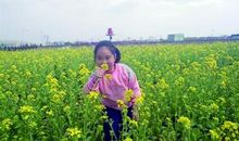 原来春天一直都在我身边_700字