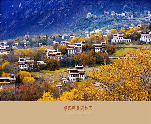 秋天在我的故乡_450字