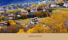 家乡的秋天_450字