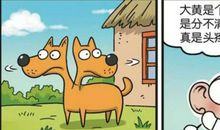 阿黄历险记_3000字