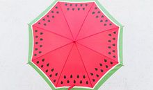 等候的雨伞_900字