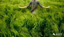 三年级诗歌：雪花的遐想_200字