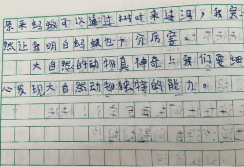 [PK赛]关于爱情的构图：爱情的温度_1000个单词