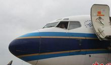 “最后一棵（只）_300字