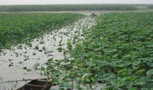 多彩的夏天_550字