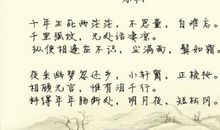 三年级诗歌：那片绿_100字