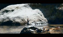 我爱这个小山村_400字