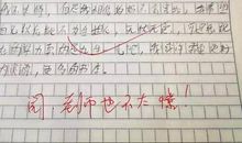关于读书的作文：《巴黎圣母院》读书心得_750字