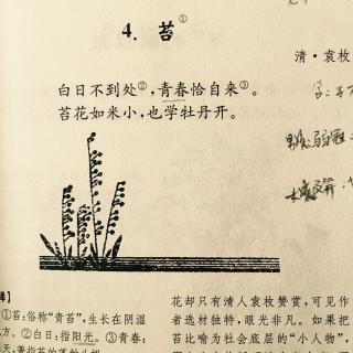 三年级诗歌：Classical_300词