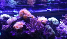 游郑州海洋馆_250字