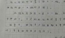 我看作文集《小荷》_300字