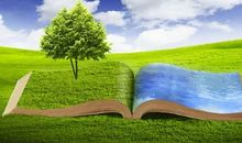 氤氲的书香_1200字