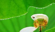 美妙的生命来自和谐_700字