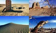 仙湖·罗布泊_800字