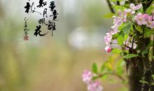 又是一年花开时_750字