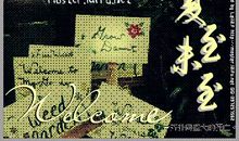 《夏至未至》读后感_1500字