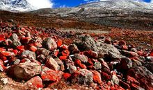 深处的和谐_750字