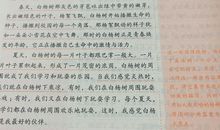 小学作文指导：作文写作应多写真实的感情_900字