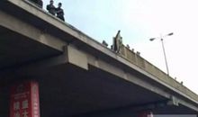 友谊的桥梁_800字