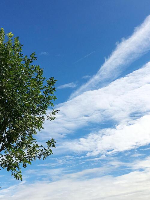 9月sky_1000个字