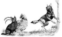 [少年作家杯B组]微笑面对离别_550字