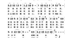 宽容是一首诗_1000字