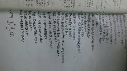 读了_800句话，“我终于明白了我母亲的残暴和残酷”